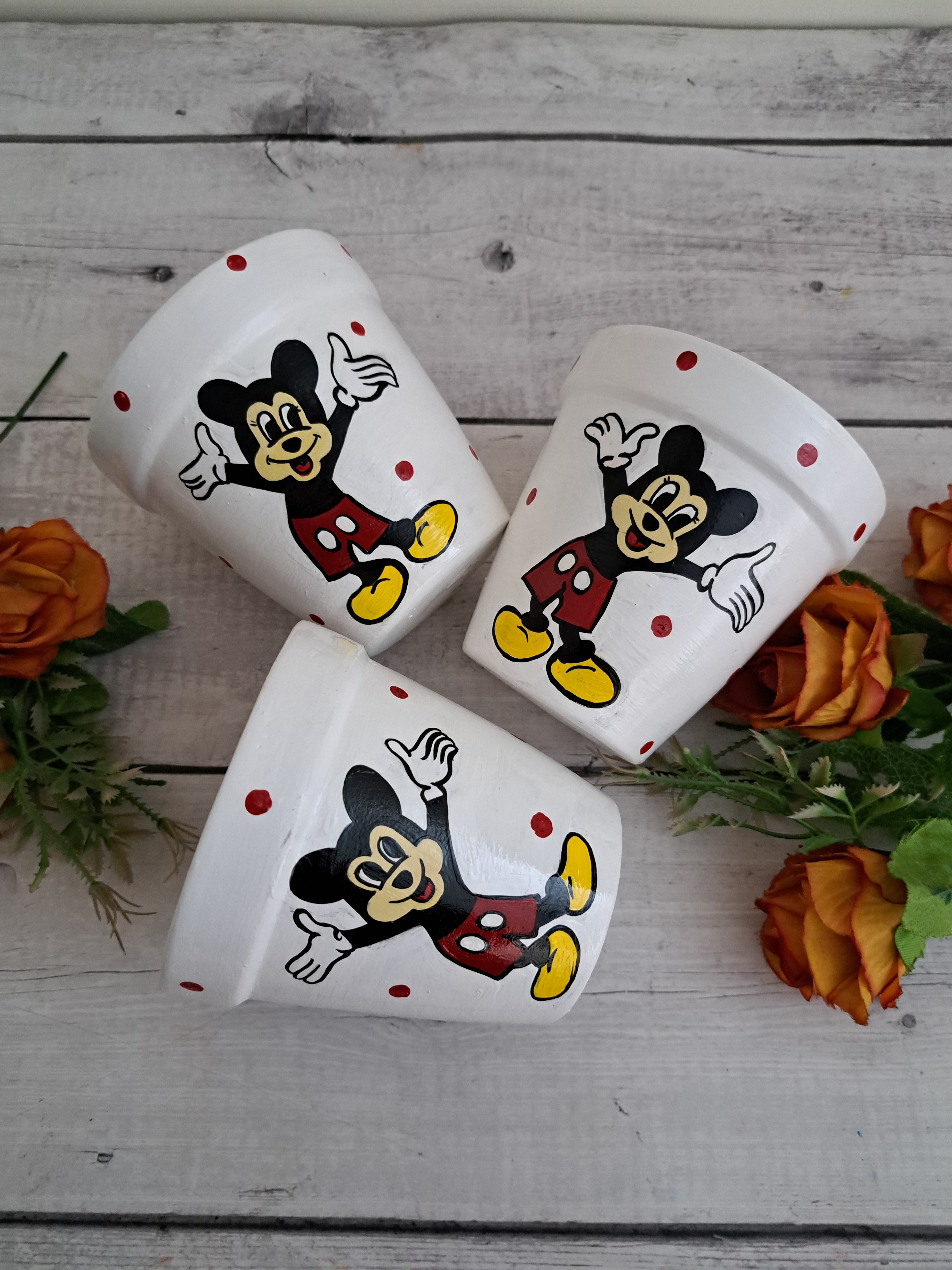 Micky Mouse Planter