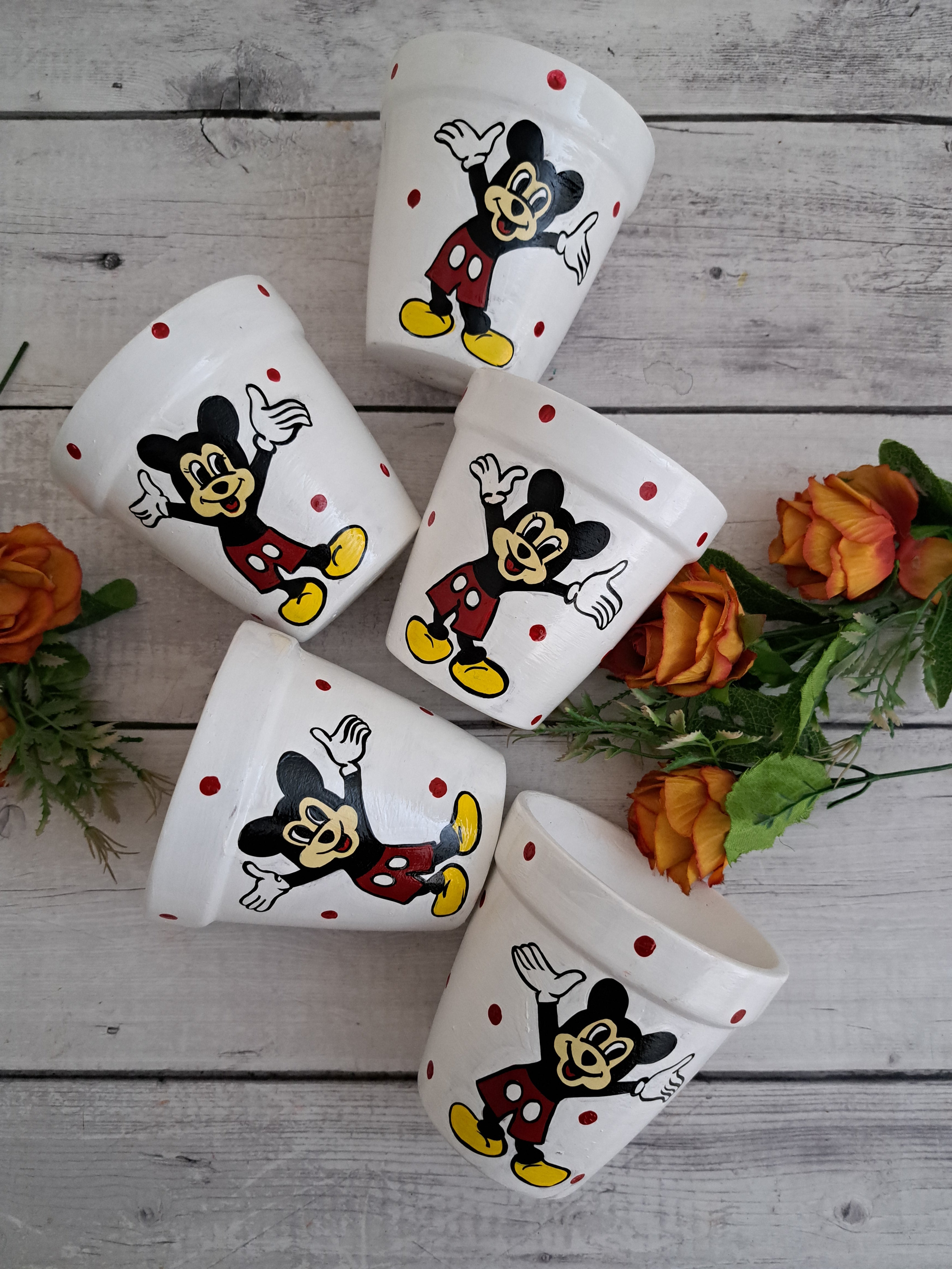 Micky Mouse Planter